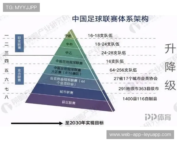 中国足球青少年足球文化建设路径，中国青少年足球发展